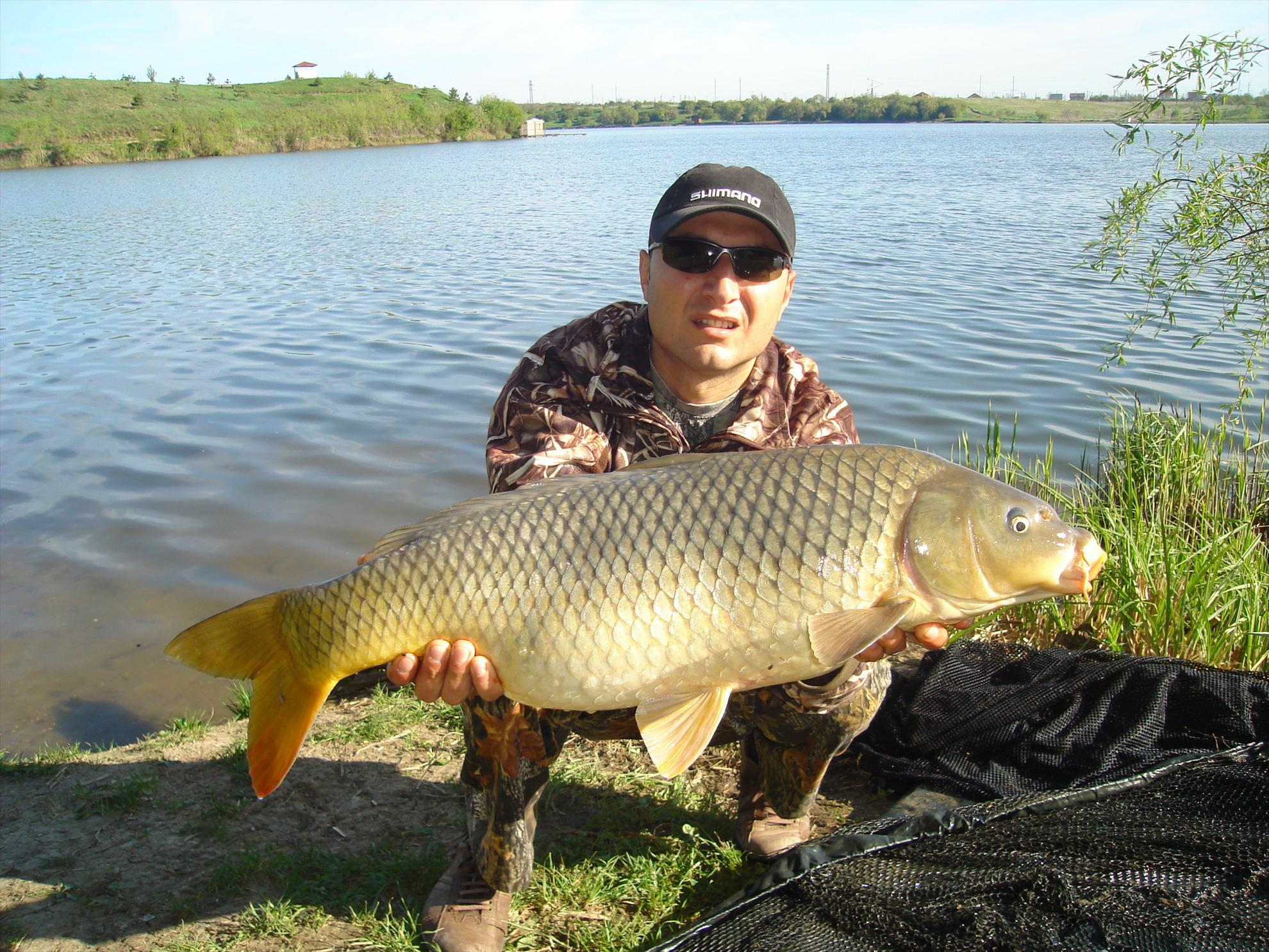 Tancabesti - dsc04118.JPG